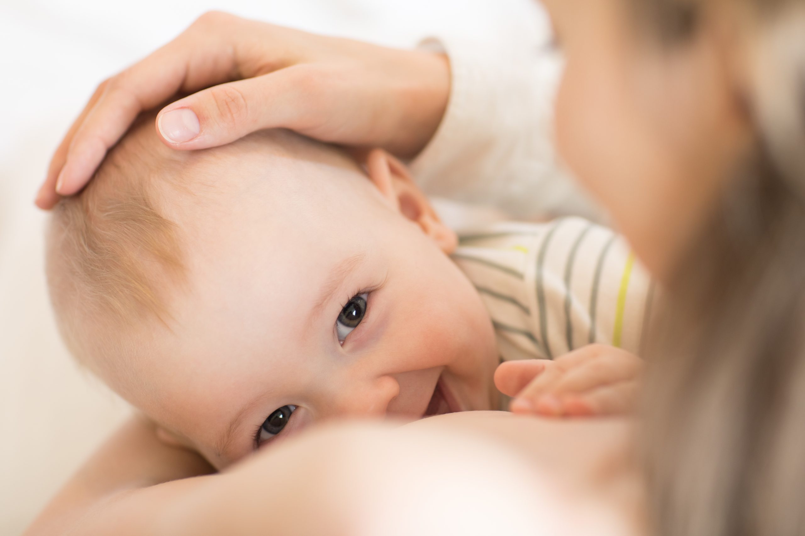 Os 15 principais benefícios da amamentação: Para o bebê, a mãe e a sociedade